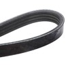 febi bilstein 28810 V-Ribbed Belt, Number of Ribs 4, Pack