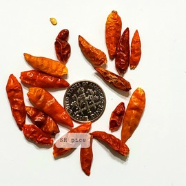 home grown Kanthari / BirdsEye Chilli pepper HEIRLOOM 50+ seeds 100% Organic Grown in USA