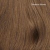 Hair Color Sample Swatch Bundle - Light Brown