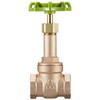 Yamato Valve Bronze Gate Valve 10K Lead Cut B10GN20A