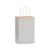 NWP Metallic Silver Recycled Kraft Paper Shopping Bags - Rose