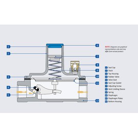 Gas Pressure Regulator,2 psi,250000 BtuH