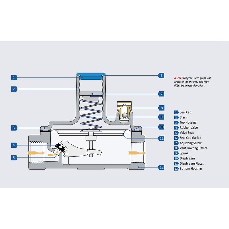Gas Pressure Regulator,2 psi,250000 BtuH