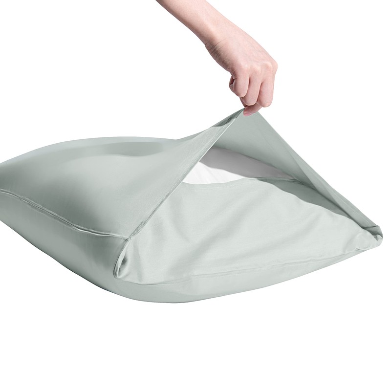 FLXXIE 2 Pack 500 Thread Count 100% Egyptian Cotton Pillowcases,