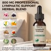 Lymphatic Drainage Drops, 20-in-1 Liposomal Lymphatic Support Drops for Immune