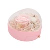 Heart Shaped Jewelry Box Wedding Preserved Flower Necklace Ring Storage