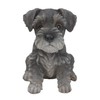 Vivid Arts Pet Pals Miniature Schnauzer Puppy PP-MINS-F