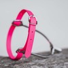 Sprenger BioThane Spur Strap, Stainless Steel - 45 cm, Pink
