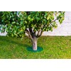 TreeGuard Revolutionary Tree Protection Lawn Edging for Protection Against Mechanical