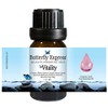 Le Vitality Essential Oil Blend 10ml - 100% Pure -