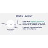 VITA PHARMA L-Lysine 1000mg 120 Tablets | Essential Amino Acid