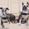 1PCS Adjustable Double Dog Seat Belt with Anti-Shock Bungee, Heavy