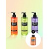 All Day Smell Cover Youth Shampoo 400ml x 2 (select scent) + giveaway / 올데이 스멜커버 청소년샴푸 400ml 2개 (향 선택)+증정