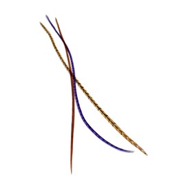 Real Feather Hair Extensions 3 Pack + Rings/Loop (Purple Auburn)
