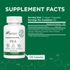 Plantonin - Palmitoylethanolamide Pea Supplement 600mg - Micronized Pea Supplements