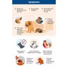 PETMED4LESS.COM EAR INFECTION CARE FOR PETS - OTITIS - kill