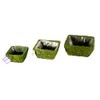 SuperMoss (55040 Marin, Fresh Green, Set of 3 (S/M/L)