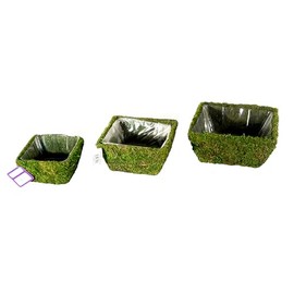 SuperMoss (55040 Marin, Fresh Green, Set of 3 (S/M/L)