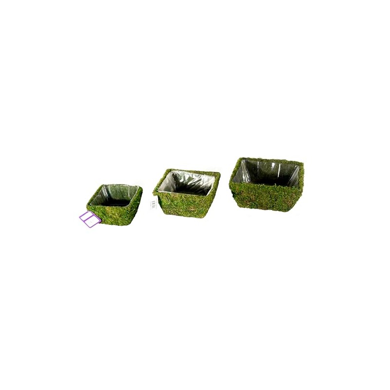 SuperMoss (55040 Marin, Fresh Green, Set of 3 (S/M/L)