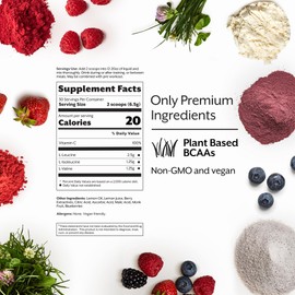 Promix BCAA Post-Workout Energy Powder - 5g Micronized BCAAs, Sugar Free, Plant Based, Vegan, Keto - Mixed Berry - 30 Servings (Pack of 1)