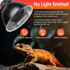 BOEESPAT High Efficiency 150W Reptile Heat Lamp Bulbs, Pack of