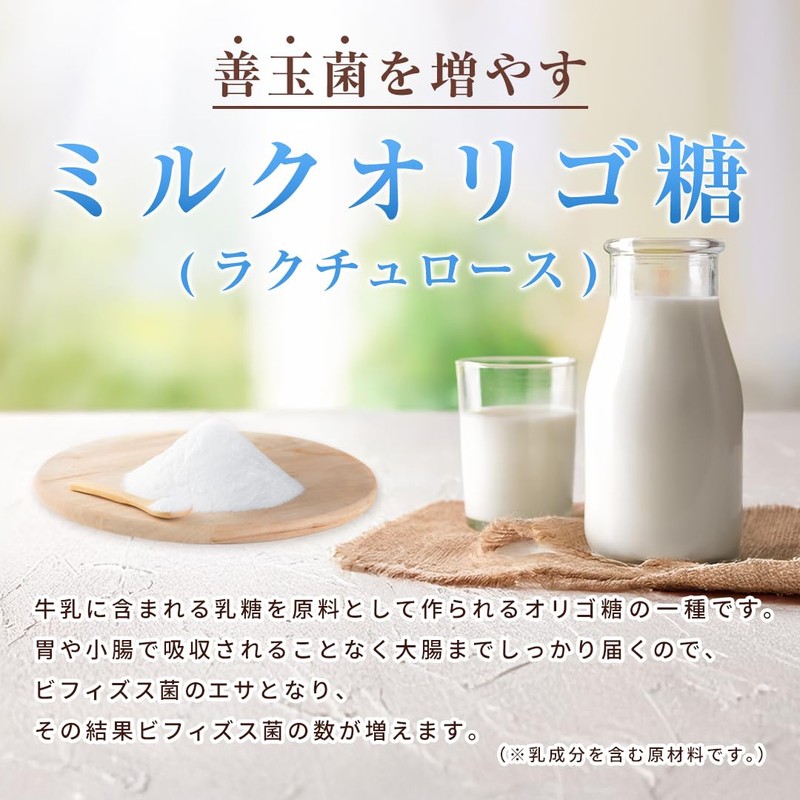 乳酸菌10000／ROTTS-1（2g×30包） ナノ型乳酸菌 微粒子乳酸菌 ミルクオリゴ糖 ラクチュロース 乳酸菌生産物質 シトルリン イヌリン 配合 サプリメント