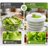 Salad Spinner for Washing & Drying Vegetables – Easy Kitchen