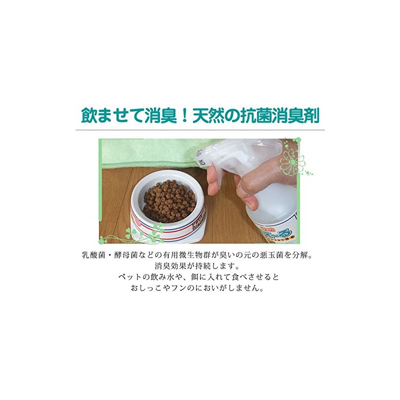 Bio enzymes made from lactic acid bacteria and yeast fungi