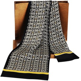 LONXU Fashion Mens 100% Silk Long Scarf/Cravat Scarives Double Layer_Fits All Seasons…