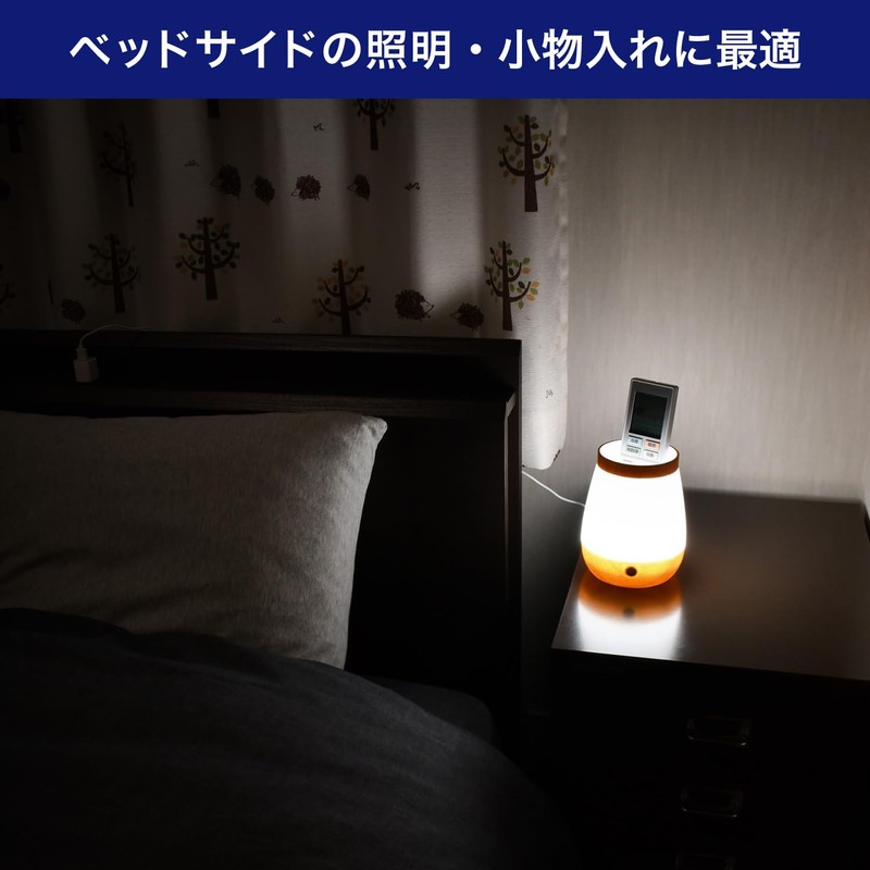 Asahi Electric ELPA PM-LP101 LED Light Storage