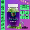 Generic Nyum Nutrition Ultra R-7 Organic Irish Sea Moss Gummies,