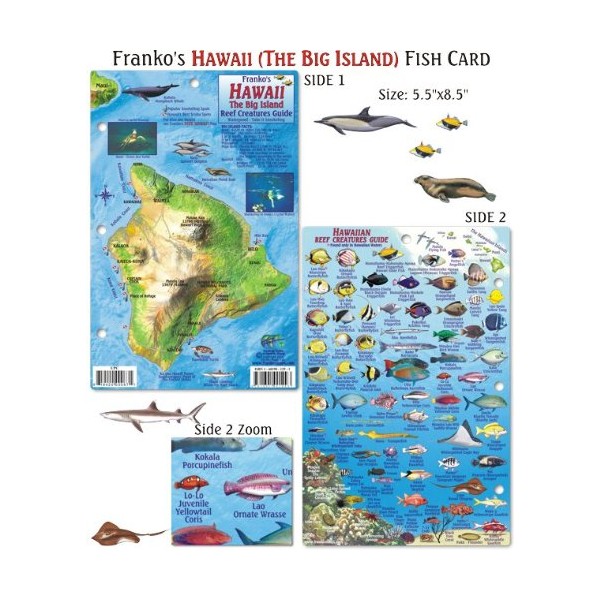 Franko Maps Hawaii Reef Creatures Fish ID for Scuba Divers and Snorkelers