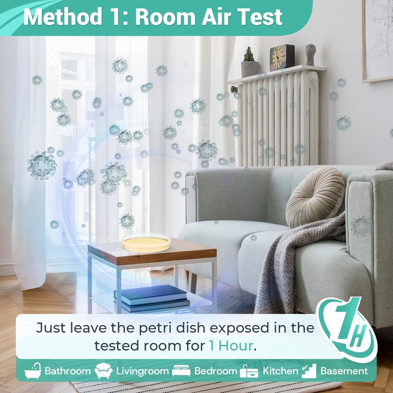 Mold Test Kit for Home Detection: 8 Simple DIY Science
