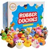 Assortment Rubber Duck Toy Duckies for Kids, Bath Birthday Gifts Baby Showers Classroom Incentives, Summer Beach and Pool Activity, 2" (50-Pack)