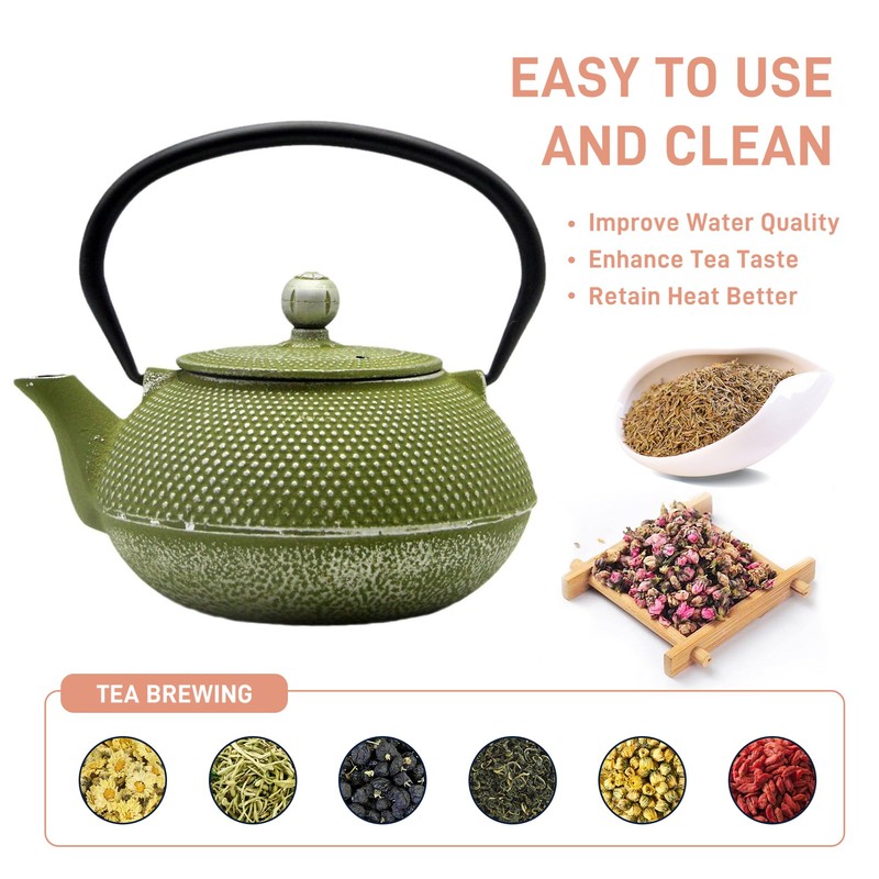 SECHUDO Cast Iron Teapot Tea Kettle with Stainless Steel Infuser
