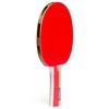 DIONE S1 - Table Tennis Bat - Table Tennis Bat