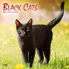 2025 Black Cats 2025 Monthly Square Wall Calendar Calendar 30 x 61 cm Plastic Free Embossed Cover