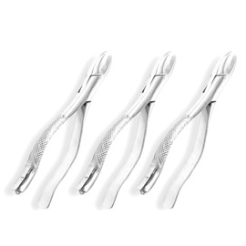 OdontoMed2011 Set Of 3 Dental Extracting Forceps #1 Dental Extraction Instruments ODM