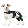 Marnonsis Dog Knee Brace for Torn Acl Hind Leg, Adjustable