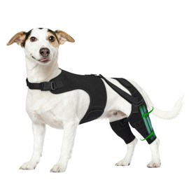 Marnonsis Dog Knee Brace for Torn Acl Hind Leg, Adjustable for Back Leg with 7 Stabilizers, Reduces Pain, Ligament Injuries & Luxating Patella for Small Medium Large Dogs,XS