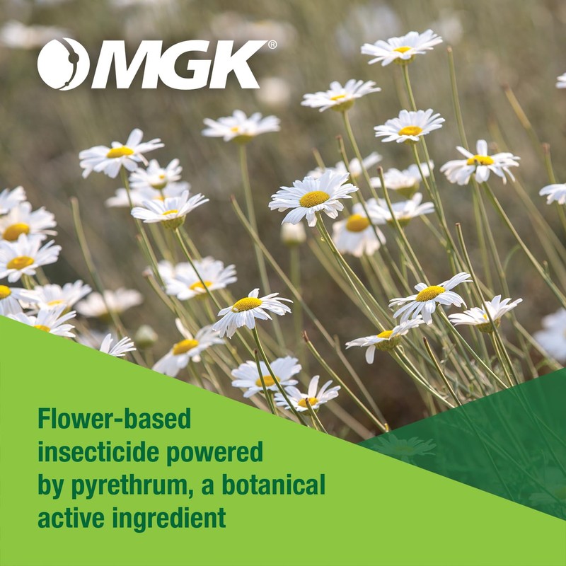 MGK Evergreen® Pyrethrum Concentrate | OMRI Listed for Organic Production