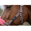 HKM, Horse Halter Set, Lead Rope, Fly Fringe, Knitted, 180