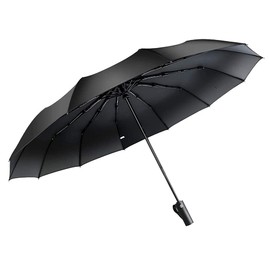 Feimvbe Travel Umbrella, Windproof Automatic Umbrella Compact Sized Portable Personal Umbrella with 10 Rib Reinforced Canopy and Auto Open & Close Function (Black)