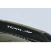 Gunner Graphics 93-02 PONTIAC FIREBIRD TRANS AM WS6 RAM AIR