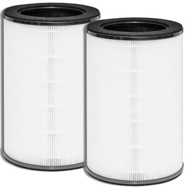 WOCASE 2 Pack AP-T45 AP-40FT Filters Replacement,True HEPA Filter Compatible with Homedics Total Clean 5-in-1 Air Cleaner Purifier AP-T40FL,AP-T40WT,AP-T40WTAR,AP-T45,AP-T45-BK,AP-T45-WT,Part #1461901