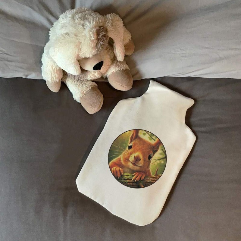 'Smiling Red Squirrel' Hot Water Bottle Cover (HW00039611)