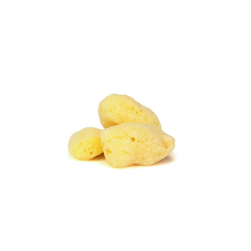IntimateCare Sea Sponges. Mediterranean Sea Sponges in Plastic Free Packaging.