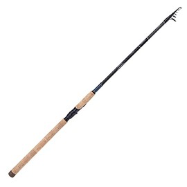 SHIMANO Telescopic cane Catana FX 10-30 g