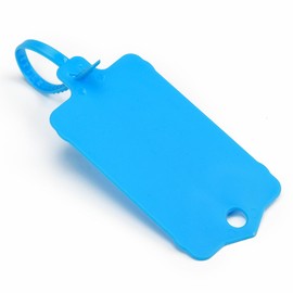LeadSeals 100pcs Blank Plastic Tags for Labeling Reusable Hanging Tags Ties Key Tags Storage Tags Waterproof Plastic Mark Label Writable Hang Sign (Blue)