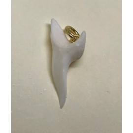 Unbranded Real Shark Teeth Shiny Pendants